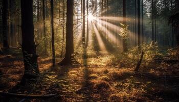 vibrant l'automne couleurs peindre tranquille forêt scène généré par ai photo