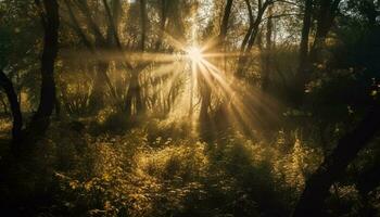 brillant arbre illuminé par vibrant l'automne lumière du soleil généré par ai photo