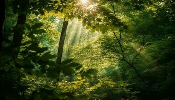 lever du soleil brille sur vibrant forêt, la nature beauté généré par ai photo