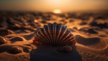 le coucher du soleil coquillage décoration, une d'or abstrait modèle généré par ai photo