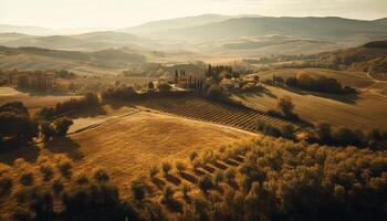 rustique ferme parmi chianti vignes à le coucher du soleil généré par ai photo