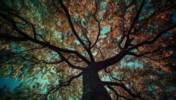 l'automne feuilles éclairer tranquille forêt sentier à crépuscule généré par ai photo