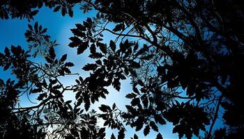 silhouette arbre retour allumé par le coucher du soleil beauté généré par ai photo