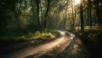 l'automne sentier une tranquille, disparition région sauvage scène généré par ai photo