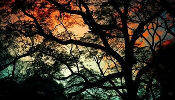 silhouette de arbre branche retour allumé à crépuscule généré par ai photo