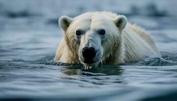 grand mignonne Arctique mammifère à la recherche à caméra sous-marin généré par ai photo