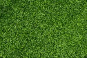 fond de texture d'herbe verte concept de jardin d'herbe utilisé pour faire un terrain de football de fond vert, golf d'herbe, fond texturé de motif de pelouse verte.. photo