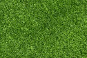 fond de texture d'herbe verte concept de jardin d'herbe utilisé pour faire un terrain de football de fond vert, golf d'herbe, fond texturé de motif de pelouse verte.. photo