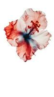 aquarelle hibiscus fleur tige sur png Contexte. génératif ai. photo