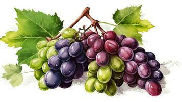 une fruit La peinture de réaliste les raisins vigne bouquet illustration. génératif ai. photo