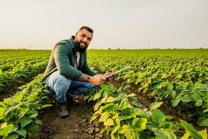 portrait de agriculteur qui est cultiver soja. il est satisfait avec bien le progrès de les plantes. agricole profession. photo