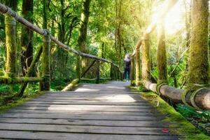 vieux en bois passerelle dans Profond pluie forêt photo