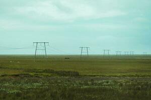 en bois utilitaire pôle ou électrique pôle avec câble câble sur agriculture zone dans rural sur été à Islande photo