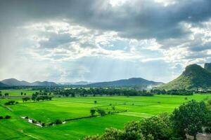 vert champ Montagne dans campagne photo