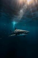 noir requin, éliminer lumière. ai génératif photo