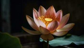 Célibataire lotus fleur dans tranquille étang l'eau généré par ai photo