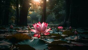 lotus l'eau lis, rose pétale, tranquille réflexion généré par ai photo