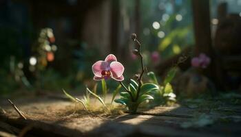 Frais rose orchidée fleur dans formel jardin vase généré par ai photo