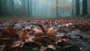 tranquille scène humide l'automne forêt, vibrant couleurs généré par ai photo