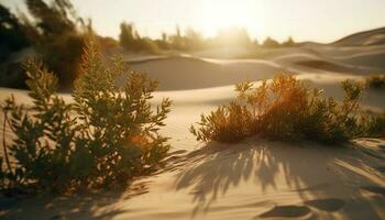 tranquille lever du soleil plus de aride le sable dunes, idyllique beauté généré par ai photo