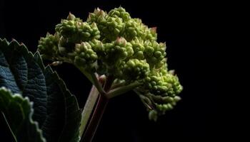 Frais vert plante croissance dans la nature beauté généré par ai photo