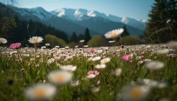 fleurs sauvages fleur dans tranquille prairie, Montagne toile de fond généré par ai photo
