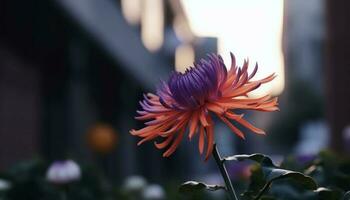 vibrant multi coloré gerbera Marguerite vitrines beauté dans la nature croissance généré par ai photo