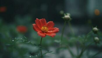 vibrant cosmos fleur dans couvert de rosée prairie, beauté dans la nature croissance généré par ai photo