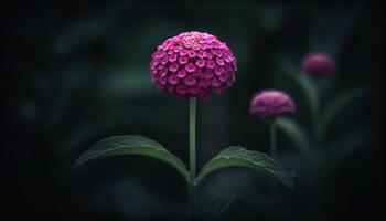 Frais violet fleur sauvage, beauté dans nature, sur noir Contexte généré par ai photo