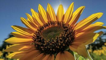 vibrant tournesol, Jaune pétale, proche en haut beauté dans nature, en plein air généré par ai photo