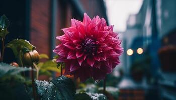 vibrant dahlia bouquet vitrines beauté dans la nature multi coloré fraîcheur généré par ai photo