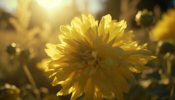 vibrant Jaune tournesol fleur dans Frais prairie, rétro-éclairé par lumière du soleil généré par ai photo