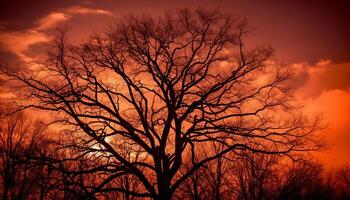 silhouette de arbre branche contre de mauvaise humeur ciel à crépuscule généré par ai photo