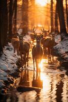 étourdissant la photographie de une troupeau de cerf dans congelé forêt. ai génératif photo