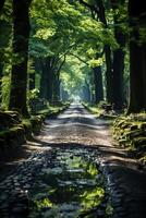 été, le Soleil brille brillamment, forêt chemin. ai génératif photo