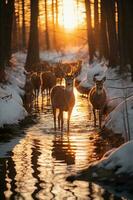 étourdissant la photographie de une troupeau de cerf dans congelé forêt. ai génératif photo