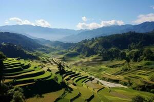 vert en terrasse riz champ. ai génératif photo