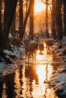 étourdissant la photographie de une troupeau de cerf dans congelé forêt. ai génératif photo