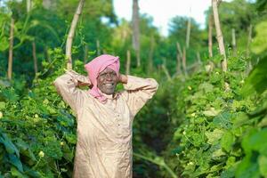Indien agriculture content Indien agriculteur permanent dans cultiver, agriculteur dans ferme photo