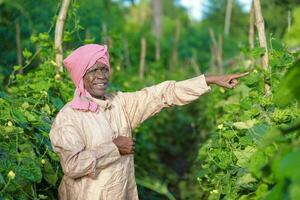 Indien agriculture content Indien agriculteur permanent dans cultiver, agriculteur dans ferme photo