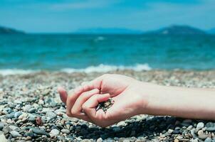 main en portant galets sur plage, turquoise mer dans Contexte photo