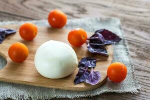 mozzarella avec tomates photo