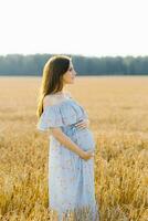 soumissionner Enceinte femme marcher dans une champ. Dame dans bleu robe. se détendre temps. femme est attendre pour une bébé photo