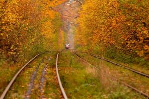 forêt d'automne parmi laquelle passe un étrange tram photo