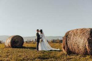 portrait de une magnifique Jeune couple dans une magnifique blanc robe et élégant costume dans une été champ contre une Contexte de d'or meules de foin. une couple pose près meules de foin. photo