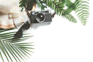 voyageur accessoires, tropical feuilles avec gros chapeau et ancien caméra photo