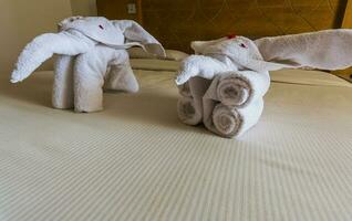 deux éléphants fou en dehors de blanc les serviettes sur une lit de une Hôtel pièce photo