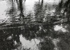 pluie sur la route goudronnée avec reflet de l'ombre des arbres dans le parc photo