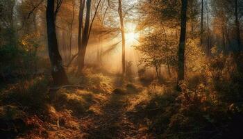 d'or lumière du soleil illumine l'automne forêt vibrant beauté généré par ai photo