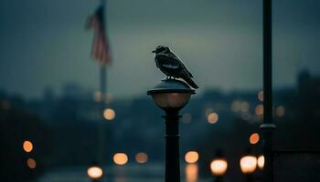 une mouette des stands sur une clôture, retour allumé par le coucher du soleil génératif ai photo